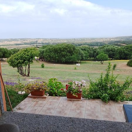 Gli Olivastri Con Piscina,Solarium, Vista Mare ,Sole -Mare E Tanta Natura ,Climatizzatore,Wifi Алиенту Екстериор снимка