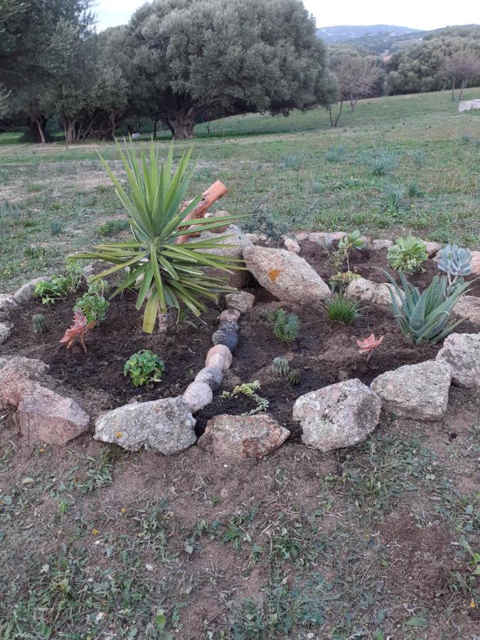 Gli Olivastri Con Piscina,Solarium, Vista Mare ,Sole -Mare E Tanta Natura ,Climatizzatore,Wifi Алиенту Екстериор снимка