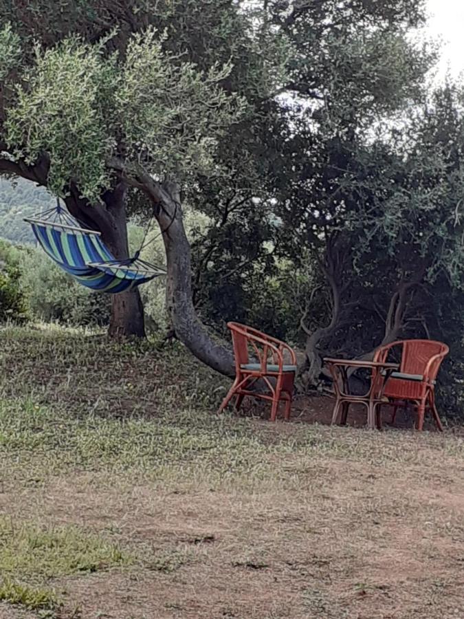 Gli Olivastri Con Piscina,Solarium, Vista Mare ,Sole -Mare E Tanta Natura ,Climatizzatore,Wifi Алиенту Екстериор снимка