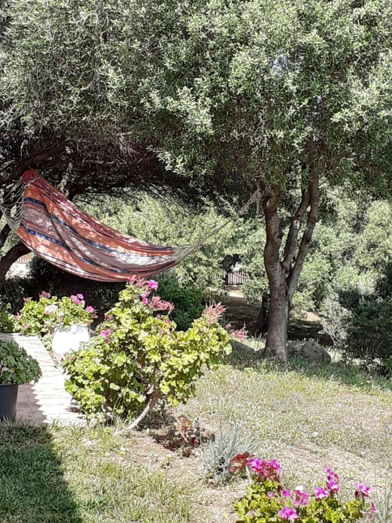 Gli Olivastri Con Piscina,Solarium, Vista Mare ,Sole -Mare E Tanta Natura ,Climatizzatore,Wifi Алиенту Екстериор снимка