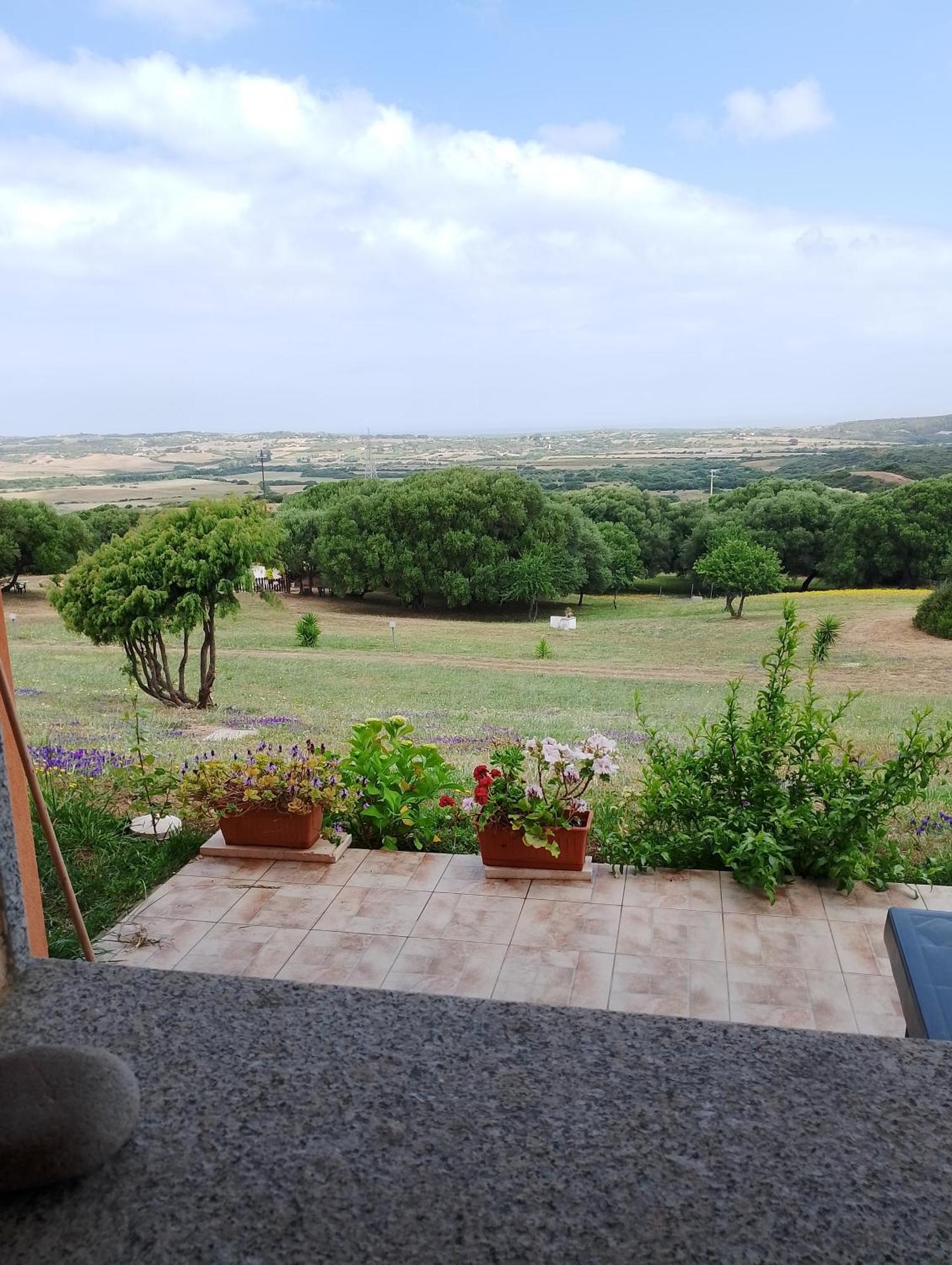 Gli Olivastri Con Piscina,Solarium, Vista Mare ,Sole -Mare E Tanta Natura ,Climatizzatore,Wifi Алиенту Екстериор снимка