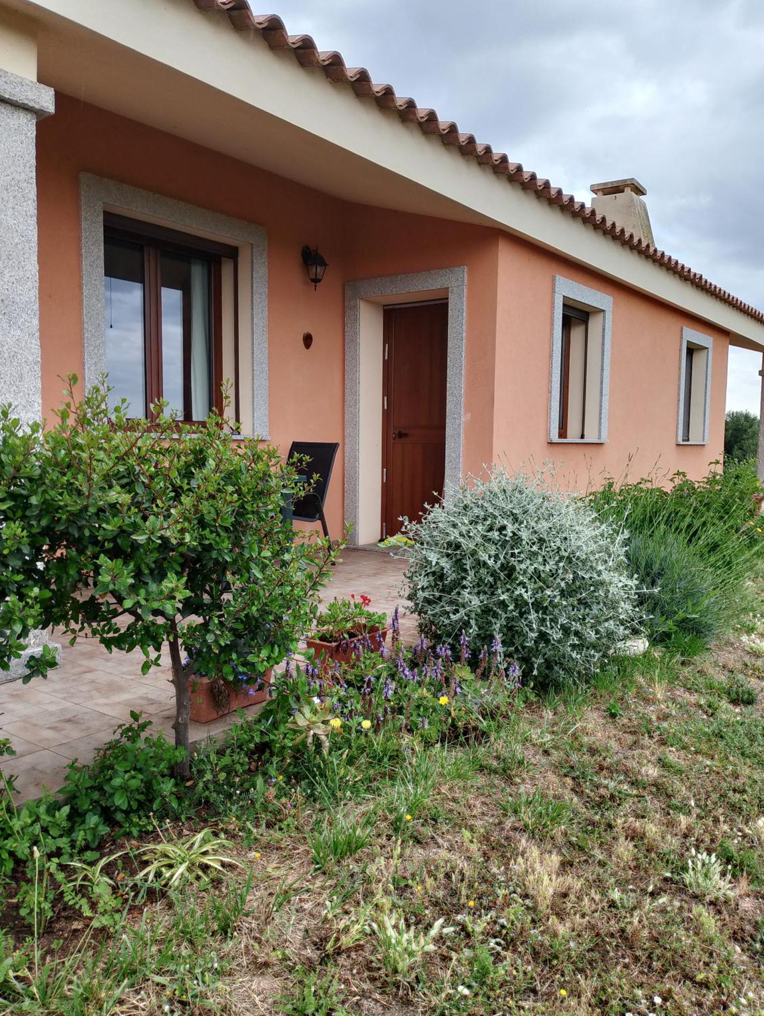 Gli Olivastri Con Piscina,Solarium, Vista Mare ,Sole -Mare E Tanta Natura ,Climatizzatore,Wifi Алиенту Екстериор снимка