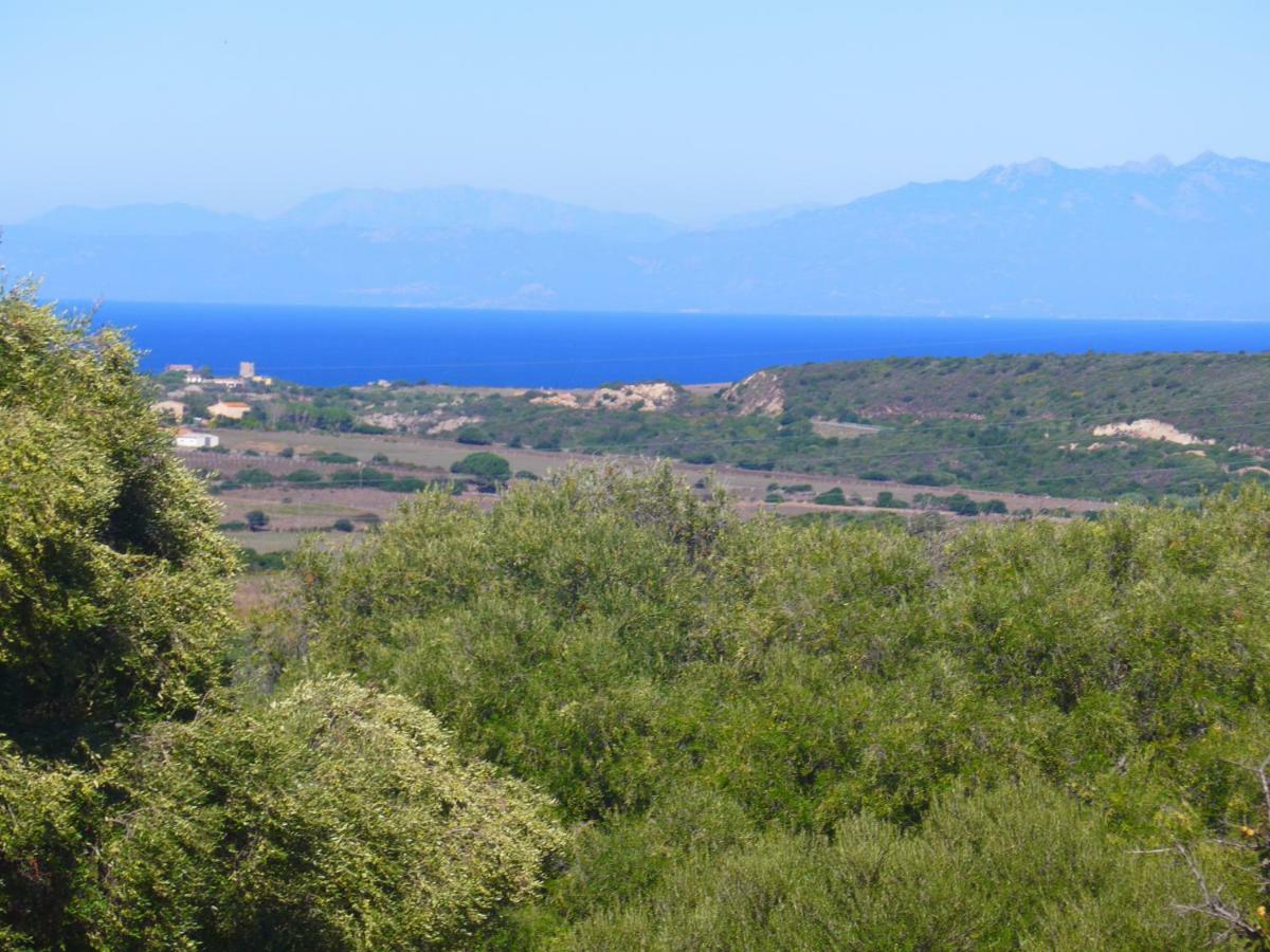 Gli Olivastri Con Piscina,Solarium, Vista Mare ,Sole -Mare E Tanta Natura ,Climatizzatore,Wifi Алиенту Екстериор снимка