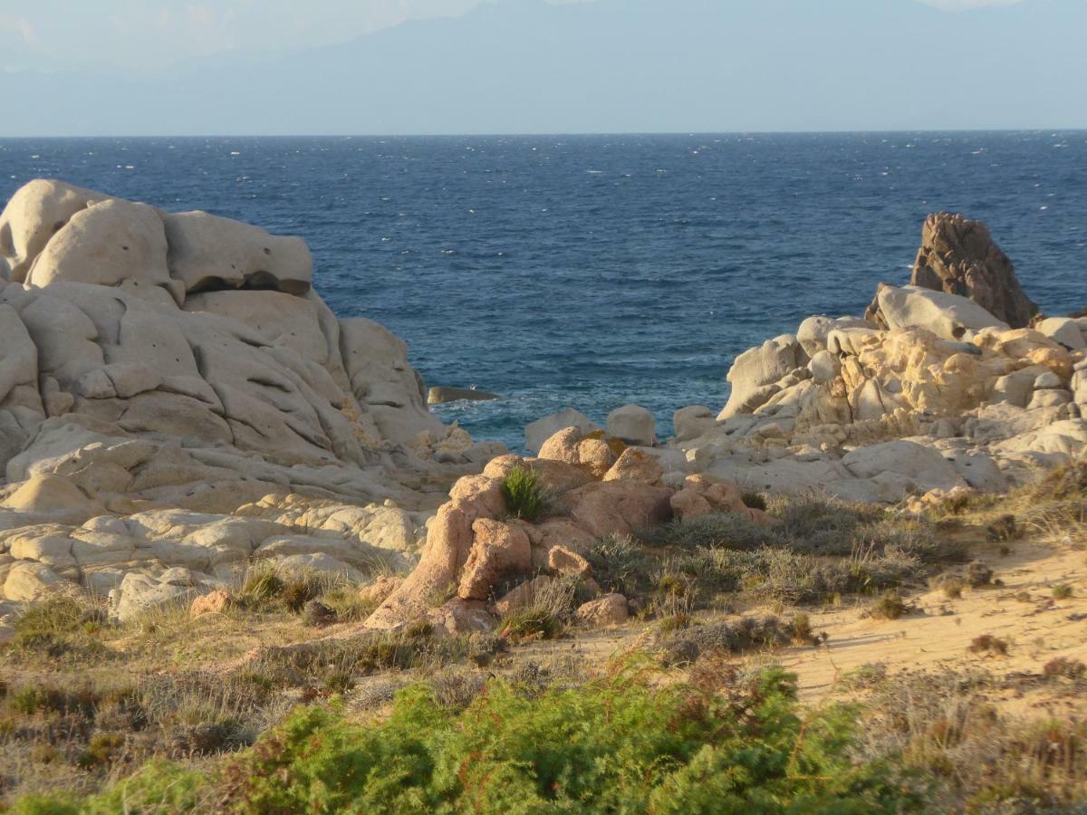 Gli Olivastri Con Piscina,Solarium, Vista Mare ,Sole -Mare E Tanta Natura ,Climatizzatore,Wifi Алиенту Екстериор снимка