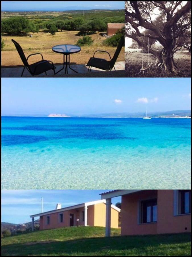 Gli Olivastri Con Piscina,Solarium, Vista Mare ,Sole -Mare E Tanta Natura ,Climatizzatore,Wifi Алиенту Екстериор снимка