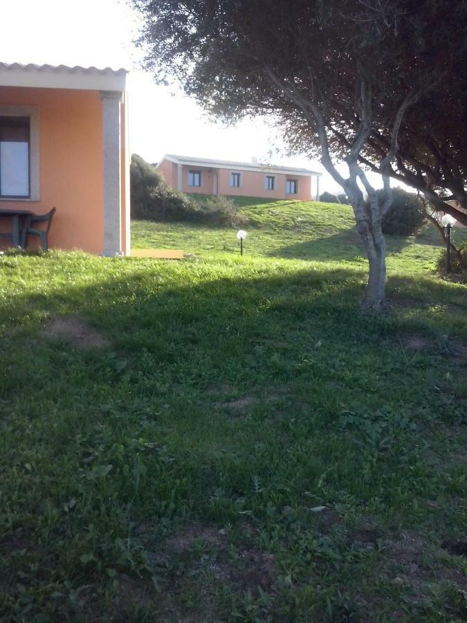 Gli Olivastri Con Piscina,Solarium, Vista Mare ,Sole -Mare E Tanta Natura ,Climatizzatore,Wifi Алиенту Екстериор снимка